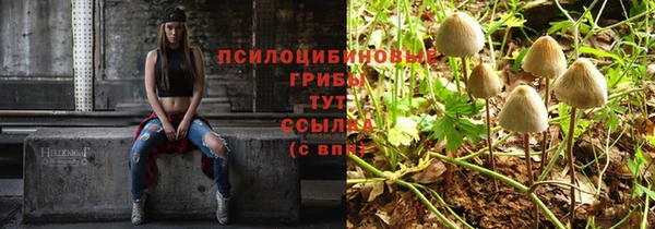 скорость Верхний Тагил
