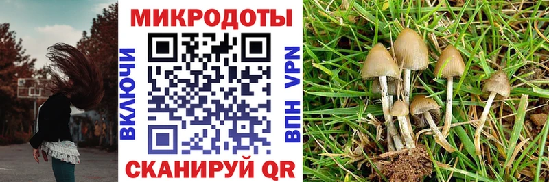 Галлюциногенные грибы ЛСД  Купить  Кропоткин 